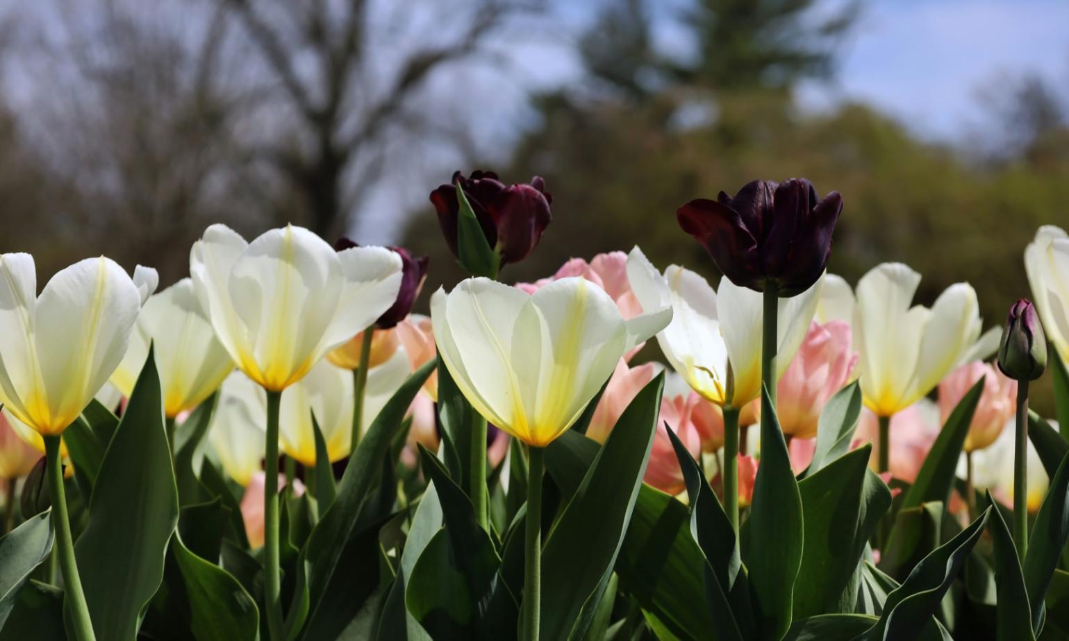 Процесс создания праздничного декора